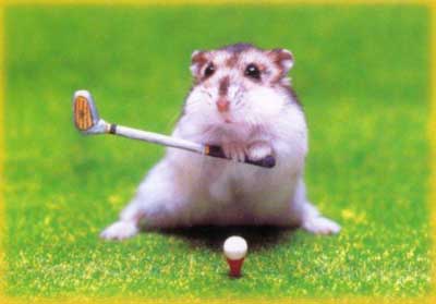 golf.jpg